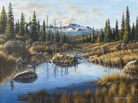 Mountain Vista Fine Art Print