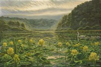 Westerly Pond Fine Art Print