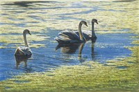 Three's Company Fine Art Print