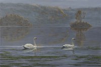 Misty Morning Fine Art Print