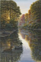 Autumn Mallards 2 Fine Art Print