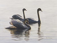 Shore Patrol Fine Art Print