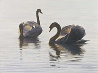 Beauty And Grace Fine Art Print