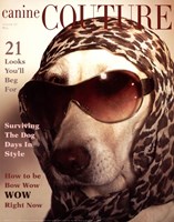 Couture - Bow Wow Wow Fine Art Print
