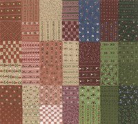 Samples II Fine Art Print