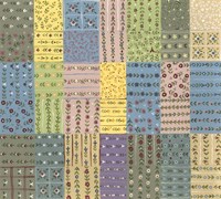 Samples III Fine Art Print