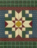 Quilt Square 1 Framed Print