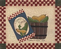 Squash Seeds Framed Print