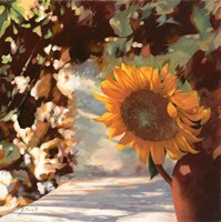 Il Girasole Fine Art Print