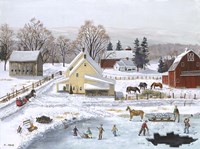 Ice In The Country Fine Art Print