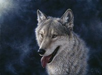 Wolf Fine Art Print
