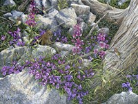 Squirrel Painting Fine Art Print