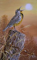 Meadowlark Painting Fine Art Print