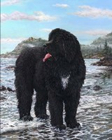 Seaman Fine Art Print