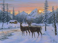 Whitetail & Cabin Fine Art Print