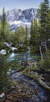 Wilderness Family Fine Art Print