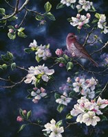 Bird Fine Art Print
