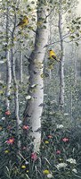 American Goldfinch Fine Art Print
