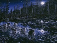 Midnight Pursuit Fine Art Print