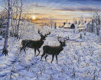 Two Deer In The Moonlight Fine Art Print