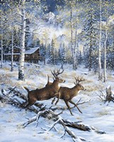 A Pair Fine Art Print