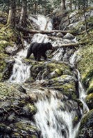 Bear Creek Crossing Fine Art Print