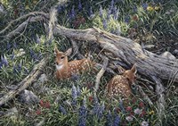 Fawns And Flowers Fine Art Print