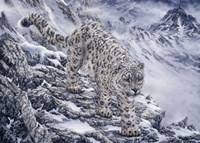 Snow Leopard Fine Art Print