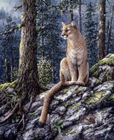King Of The Forest Fine Art Print