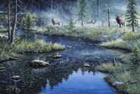 Misty Morning Fine Art Print