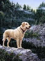 Standing Tall Fine Art Print