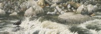 Swift Water Fine Art Print