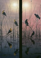 Red Winged & Yellow Headed Blackbirds Fine Art Print