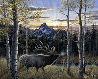 Dawn Of Light Fine Art Print