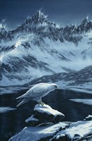 In The Land Of Ice And Snow Fine Art Print