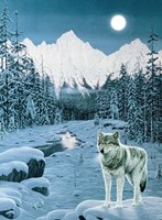 Winter Twilight Fine Art Print