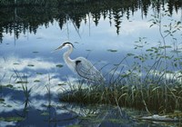 Blue Reflections Fine Art Print