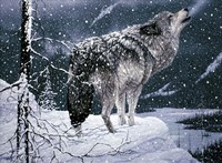 Lone Wolf Fine Art Print