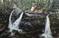 Solitude Fine Art Print