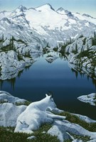 Casade Summer Fine Art Print