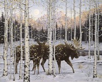 Forest Twilight Fine Art Print