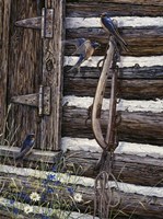 Barn Swallows Fine Art Print