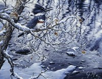 Icy Reflections Fine Art Print