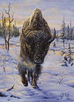 Intimidation Fine Art Print