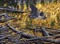 Heron Fine Art Print