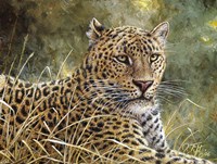 Leopard Portrait Fine Art Print