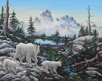 Alpine Country Fine Art Print