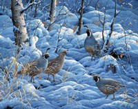 Winter Covey Fine Art Print