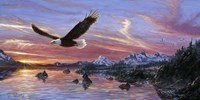 Silent Wings Of Freedom Fine Art Print