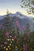 Hummingbirds Fine Art Print